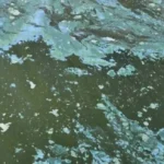 Εκδήλωση – Ανοιχτή συζήτηση Π. Κουκουλόπουλου: «Πτολεμαΐδα V – Το τελευταίο οχυρό. 1,5 δισεκατομμύριο λόγοι να σπάσουμε το λουκέτο Στάσση»