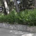 Συμβουλές από τη Γενική Περιφερειακή Αστυνομική Διεύθυνση Δυτικής Μακεδονίας προς τους πολίτες για την αποφυγή κλοπών, ενόψει του τριημέρου του Αγίου Πνεύματος