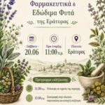 Δήμος Βοΐου: Μουσική Εκδήλωση Μαθητών και Καθηγητών του Δημοτικού Ωδείου Βοΐου «Χαρίλαος Περπέσας»