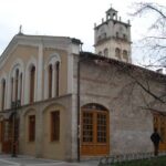 Οικολογική Κίνηση Κοζάνης:  Κομμένα δέντρα ξανά και ξανά