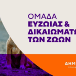 Γυναίκες επιχειρηματίες ενώνουν δυνάμεις στην Κοζάνη – Το νέο δίκτυο συνεργασίας του Επιμελητηρίου παίρνει μορφή