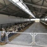 ΕΤΑΔ: Σε διαγωνισμό η μακροχρόνια εκμίσθωση του Ξενία Κοζάνης