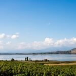 ΟΡΕΙΒΑΤΙΚΗ ΛΕΣΧΗ ΠΤΟΛΕΜΑΪΔΑΣ : ΔΙΑΣΧΙΣΗ ΦΑΡΑΓΓΙΟΥ ΒΙΚΟΥ Διαδρομή : Βίκος → Μονοδένδρι