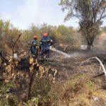 Η Κοβεντάρειος Δημοτική Βιβλιοθήκη Κοζάνης στο 4ο Φεστιβάλ Ψυχικής Υγείας της ΕΨΥΚΑ