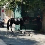 Καλλιόπη Βέττα: «Η κυβέρνηση αφήνει εκτός Σώματος χιλιάδες έμπειρους πυροσβέστες – Μόλις 26 θέσεις στη Δυτική Μακεδονία από τις 600 που προκηρύχθηκαν »