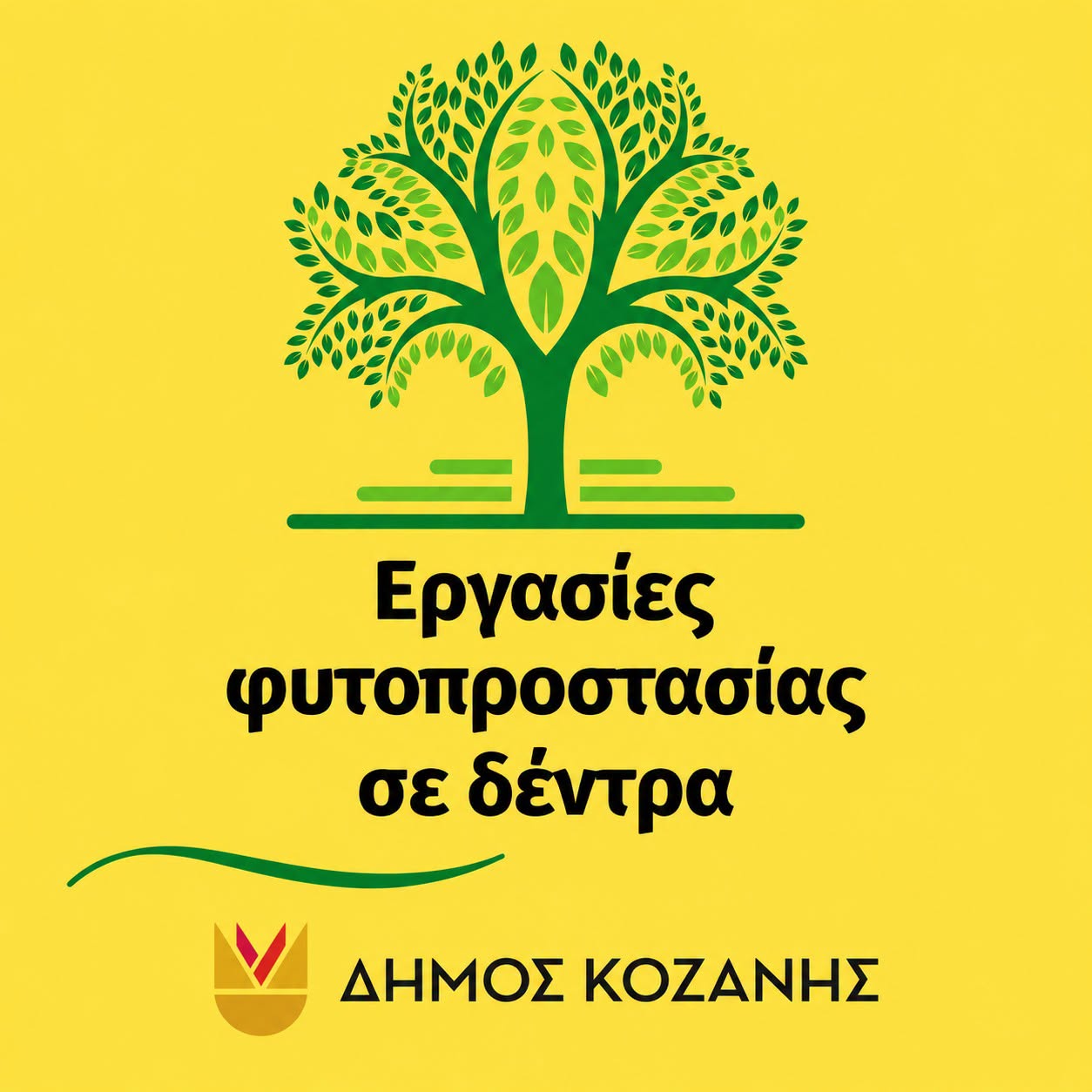 Εργασίες φυτοπροστασίας σε δέντρα στον Δήμο Κοζάνης