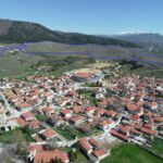 Εργασίες φυτοπροστασίας σε δέντρα στον Δήμο Κοζάνης